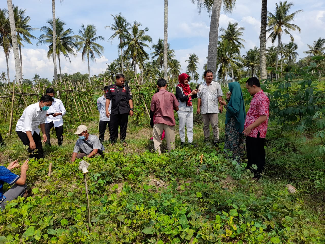 Wujudkan Smart Farming di Desa Cintamulya, Dosen IIB Darmajaya akan Terapkan IoT Wujudkan Smart Farming di Desa Cintamulya, Dosen IIB Darmajaya akan Terapkan IoT