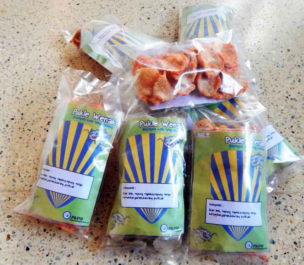 Mahasiswa Darmajaya Sulap Lele Jadi Kerupuk dan Abon Sehat Nan Lezat Mahasiswa Darmajaya Sulap Lele Jadi Kerupuk dan Abon Sehat Nan Lezat